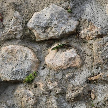 Maison d'hôtes Il Fienile Nella Roccia à Casole dʼElsa Extérieur photo