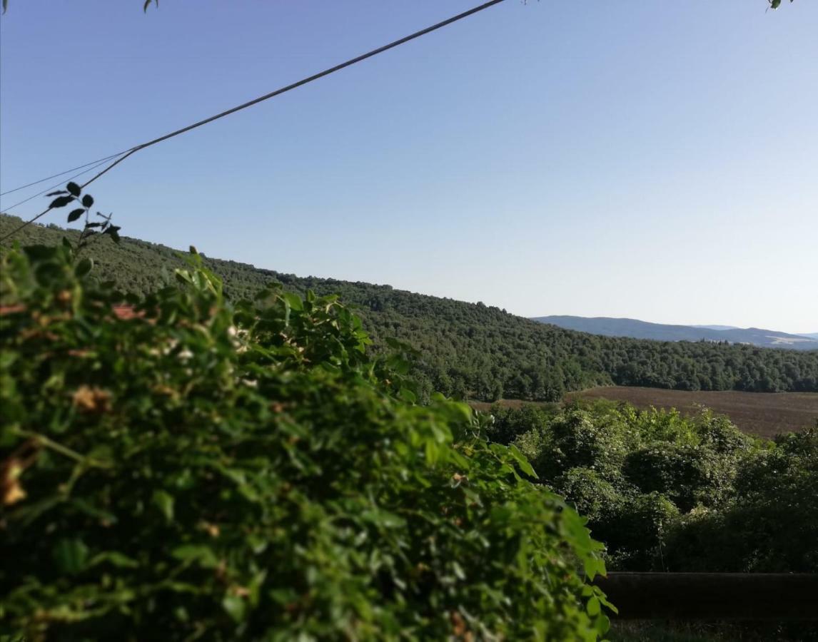 Maison d'hôtes Il Fienile Nella Roccia à Casole dʼElsa Extérieur photo