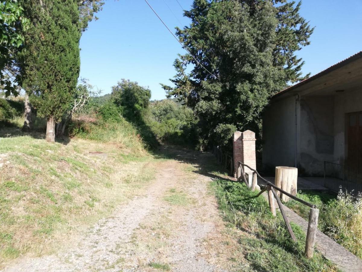 Maison d'hôtes Il Fienile Nella Roccia à Casole dʼElsa Extérieur photo